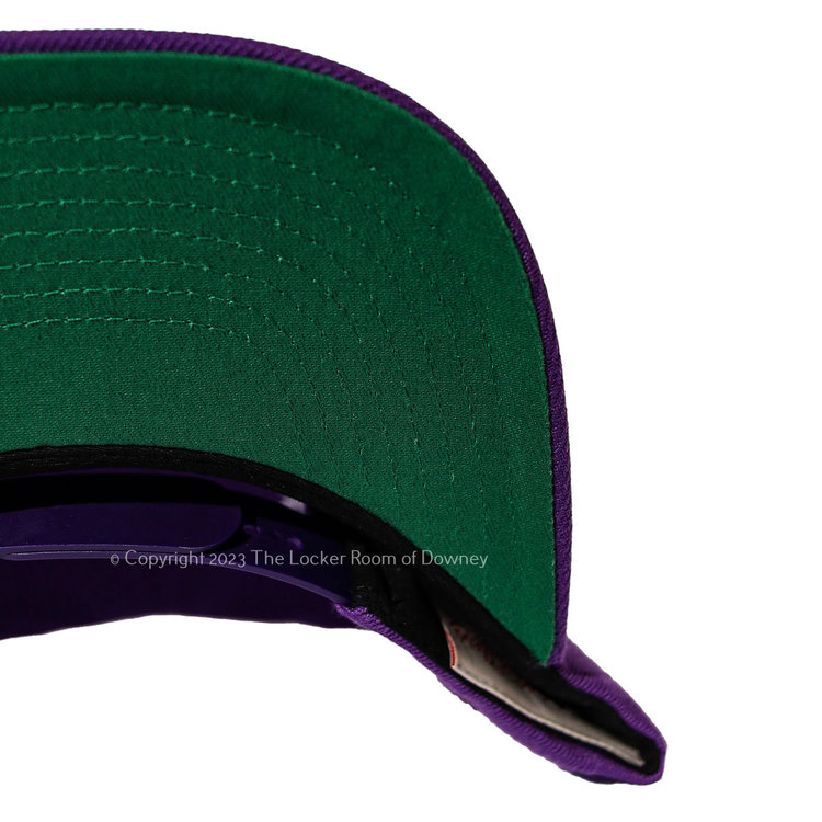 Mitchell and Ness LA Lakers HWC M&N 97 Top Star Snapback Purple