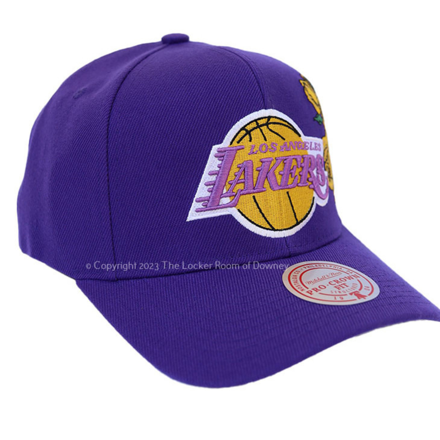 LA Lakers Purple/Gold Upside Down M&N Snapback - The Locker Room of Downey