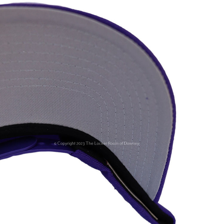 Mitchell and Ness Lakers M&N Scondary Roses Pro Snapback Purple