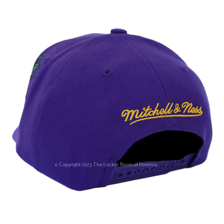 Mitchell and Ness Lakers M&N Scondary Roses Pro Snapback Purple