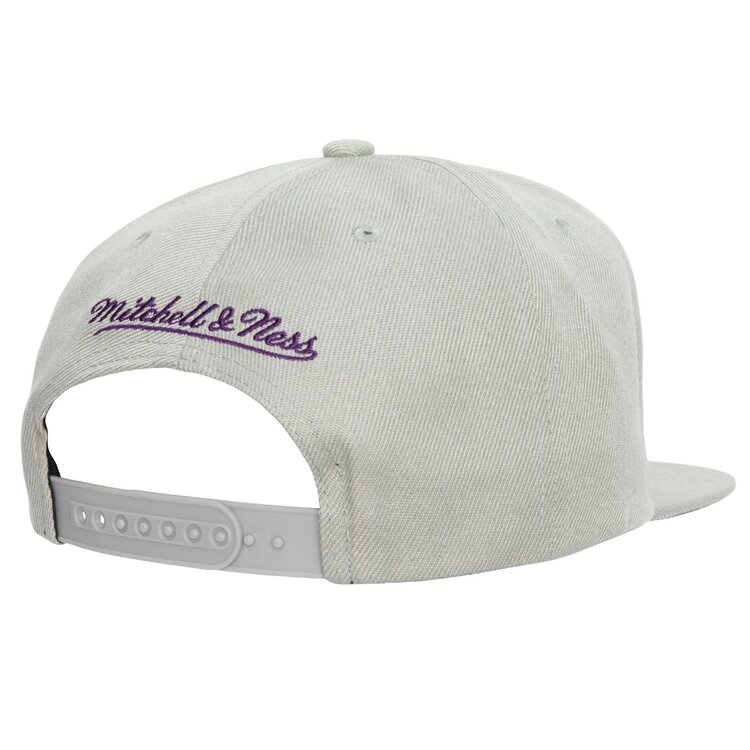 Mitchell and Ness Lakers M&N NBA 75th Silver Snapback Purple