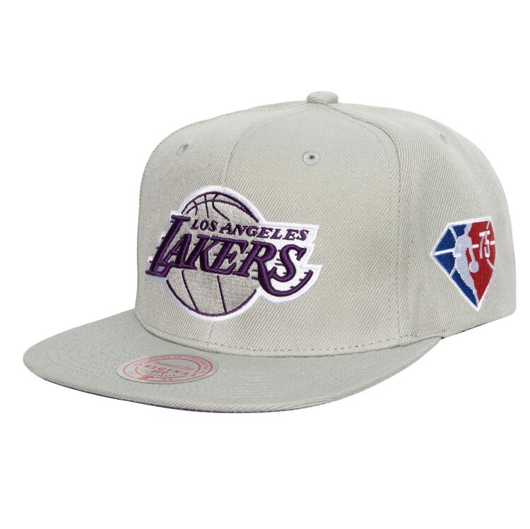 Mitchell and Ness Lakers M&N NBA 75th Silver Snapback Purple