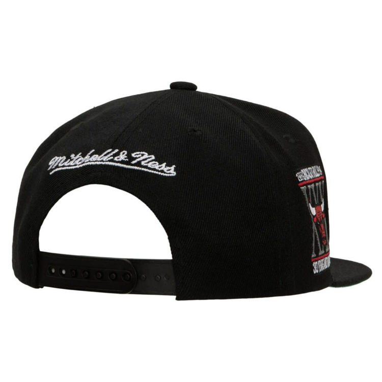 Mitchell and Ness Chicago Bulls M&N My Squad Snapback