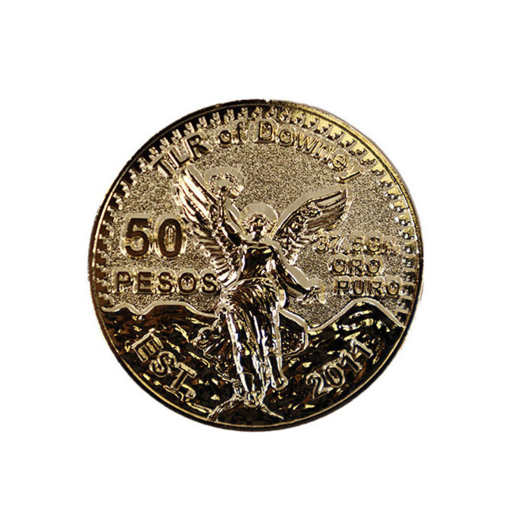 TLR of Downey TLR of Downey Centenario Pin