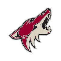 Wincraft Team Logo - NHL Coyotes Pin