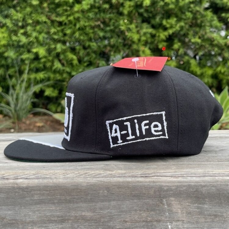 Mitchell and Ness WWE New World Order M&N Deadstock Snapback Black