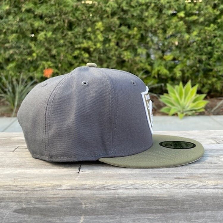 New Era Raiders 2T Color Pack 950 STCNOV