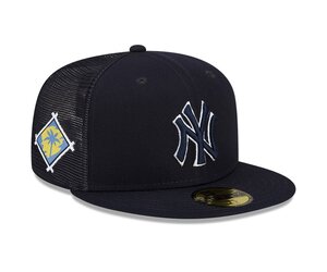 THE CAP 別注 NEW ERA YANKEES 5th avenue New Era NY Yankees 59FIFTY COOP WS 2024 'Grey' – TAKOUT®