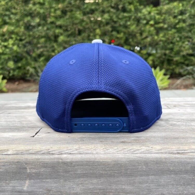 New Era LA Dodgers D MLB 24 LP 950 Spring Training OTC 950