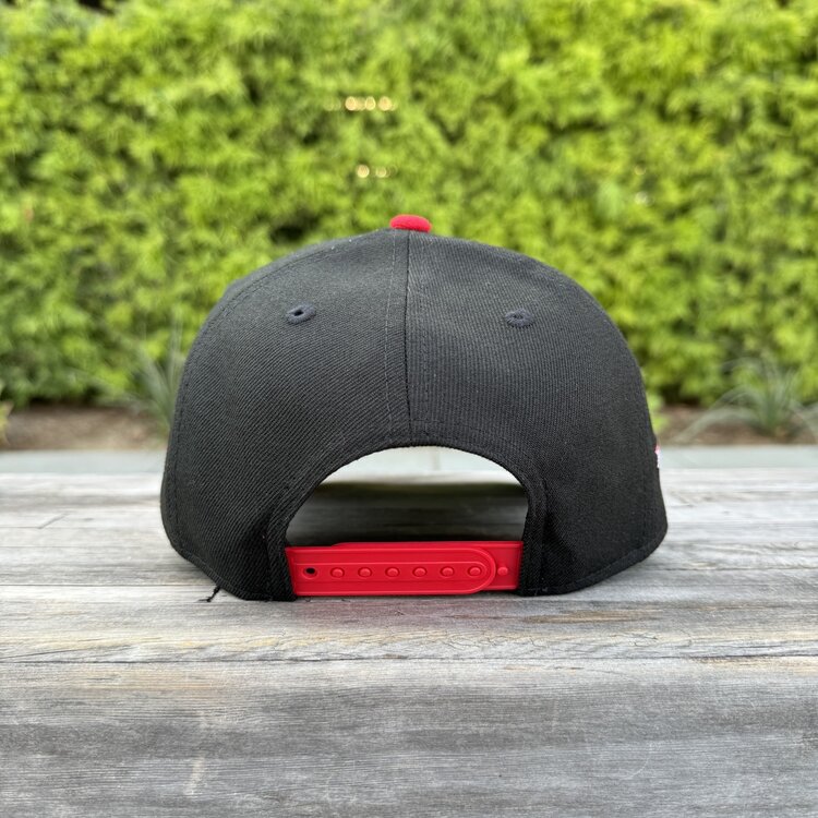 New Era D'Backs Snake Black/Red RW 10th Anniv 940 A-Frame