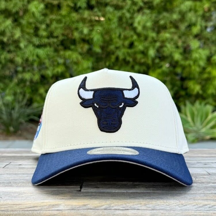 New Era Bulls Ivory/Navy Est. 1996 Gray UV 940 A-Frame