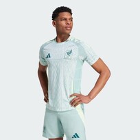 Adidas Mexico 2024 adidas Authentic Men's Away Jersey