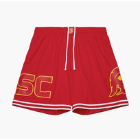 Mitchell and Ness USC Trojans M&N Team ID 7 Inch Mesh Shorts