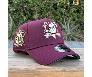 mighty ducks　プレート　マイティーダックス mighty ducks プレート マイティーダックス s-l1200.jpg