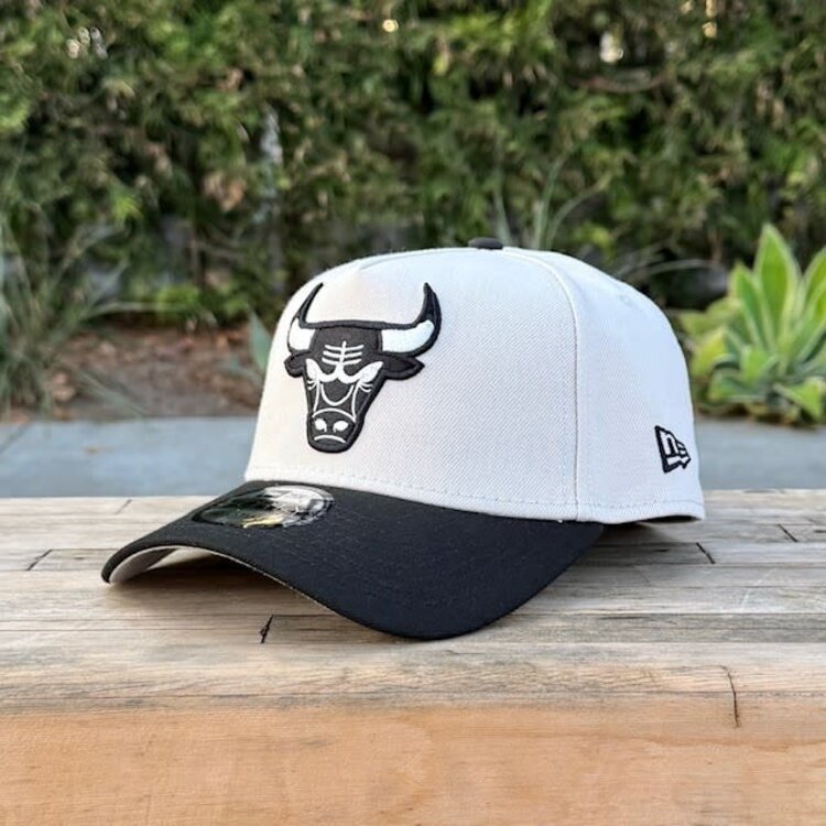 New Era Chicago Bulls Stone/Black Est. 66 SP 940 A-Frame