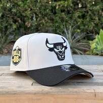 New Era Chicago Bulls Stone/Black Est. 66 SP 940 A-Frame