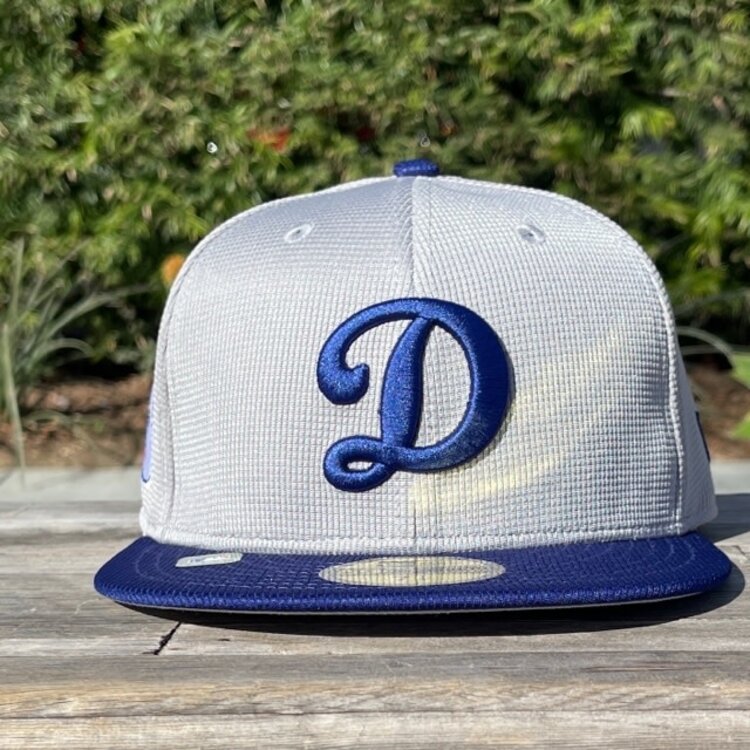 New Era LA Dodgers D MLB 24 Batting Practice Road