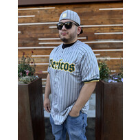 New Era LMB Pericos de Puebla Alt 1 Jersey Gray Pinstripe