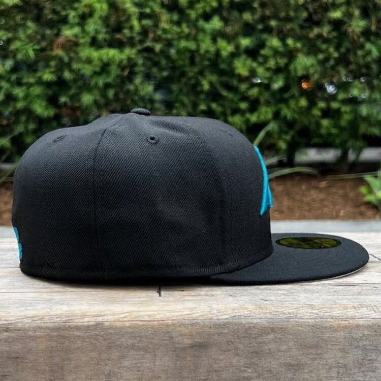 New Era Carolina Panthers Black Team