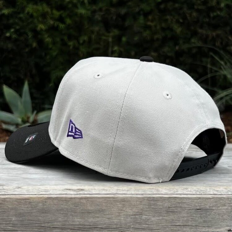 New Era Vikings Stone/Black Team 45th Anniversary 940 A-Frame