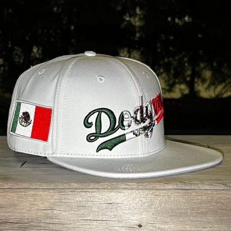 Pro Standard Dodgers Mexico Wordmark PS Snapback White