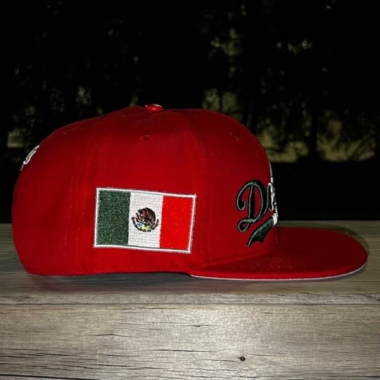 Pro Standard Dodgers Mexico Wordmark PS Snapback Red