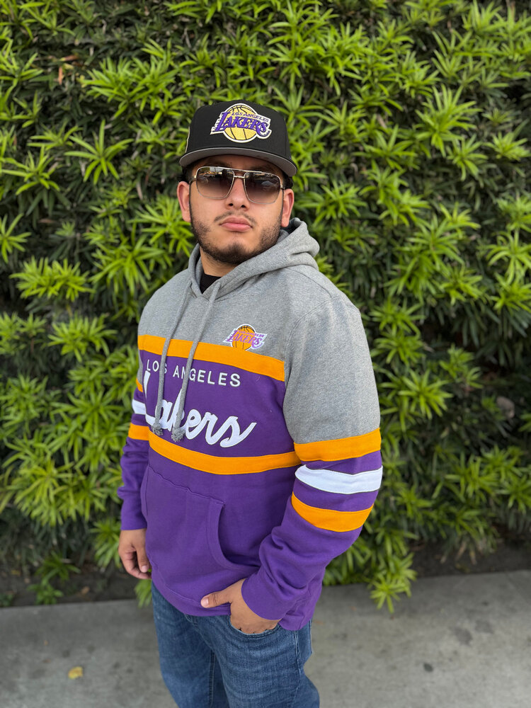 Mitchell and Ness LA Lakers Mitchell & Ness Head Coach Hoodie Purple/Gold
