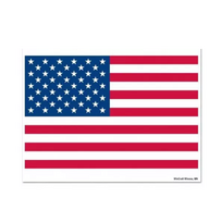Wincraft Small Decal 4" x 2" USA Flag