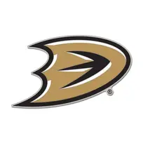Wincraft NHL Ducks D Logo Pin