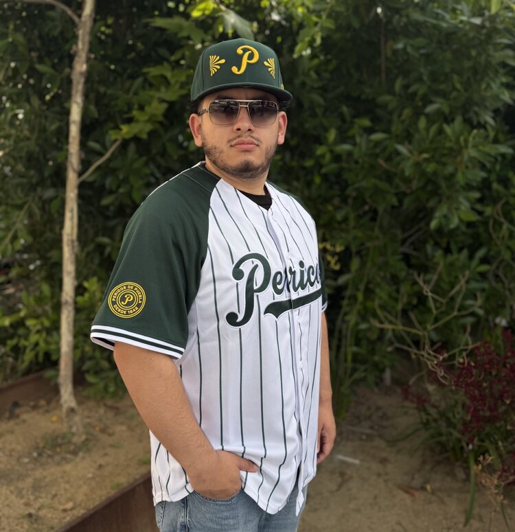New Era LMB Pericos de Puebla 2026 Alt 2 Jersey Stripe