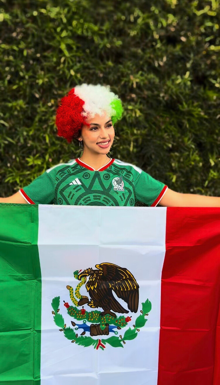 Mexico Wig Soccer Fan Accessory