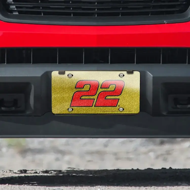 Wincraft Raiders Chrome Logo Specialty Acrylic License Plate