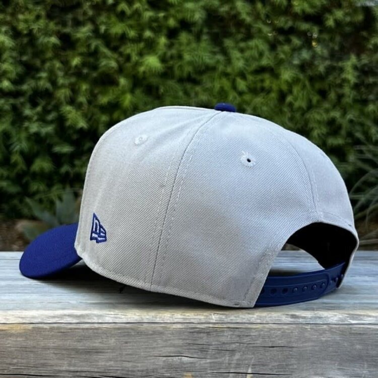 New Era LA Dodgers Gray/Royal RW Blue Heaven On Earth SP 940 a-frame