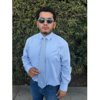 Eagles Wings Los Angeles Dodgers Gingham Tie