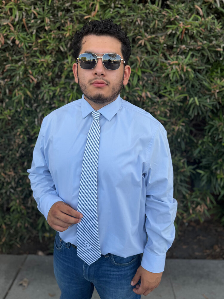 Eagles Wings Los Angeles Dodgers Gingham Tie