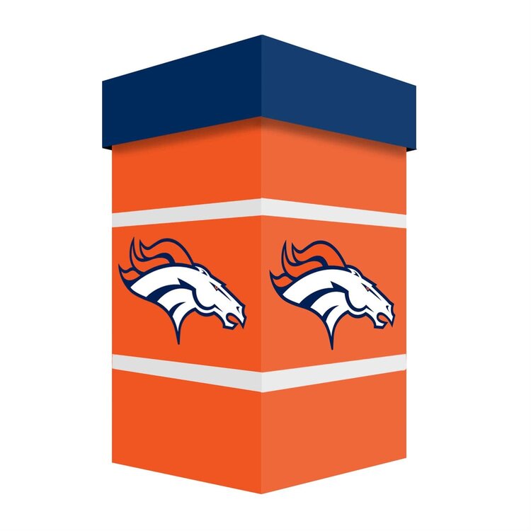 Evergreen Boxed 24 oz Ceramic Stein Cup - Denver Broncos