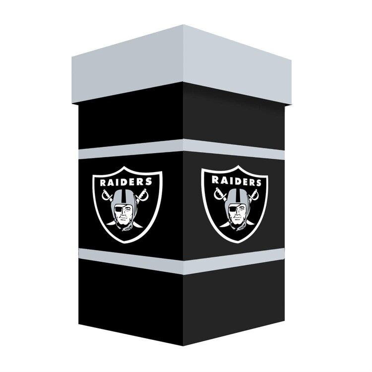 Evergreen Boxed 24 oz Ceramic Stein Cup - Raiders