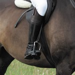 Stirrup irons, leathers, and accessories