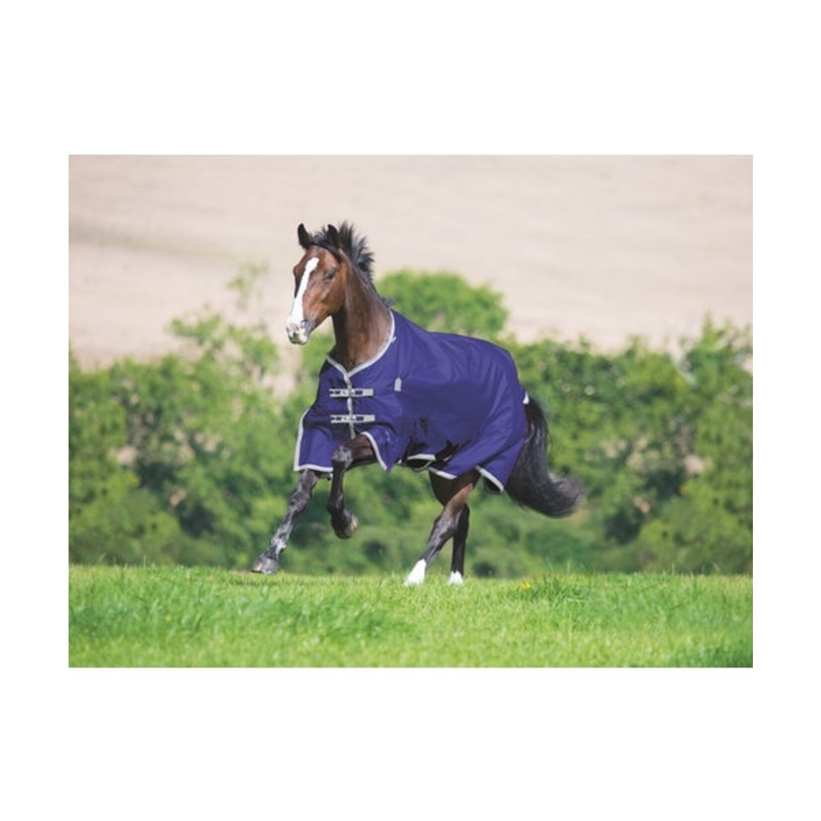 Shires Equestrian Highlander Plus Lite