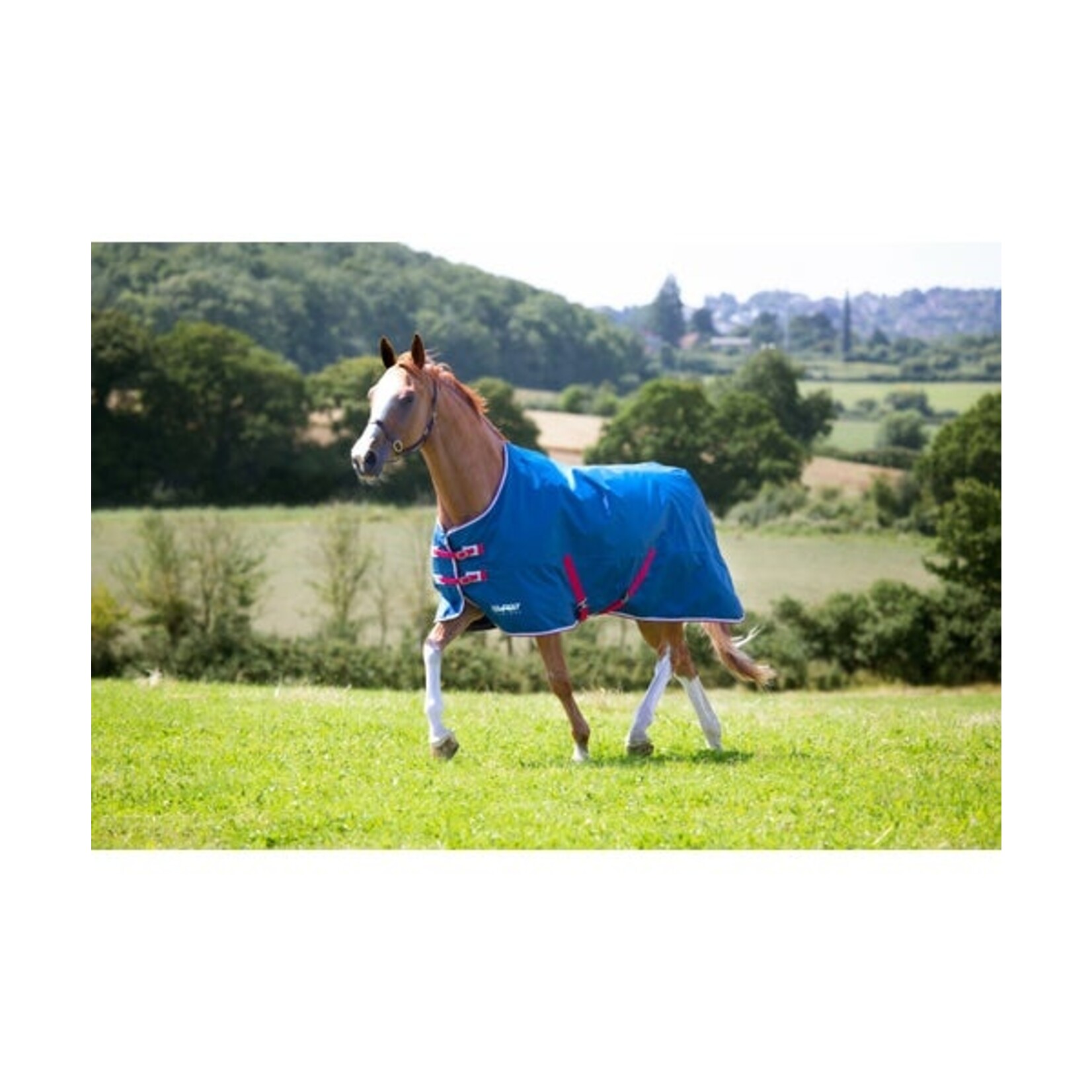 Shires Tempest Original Lite Turnout