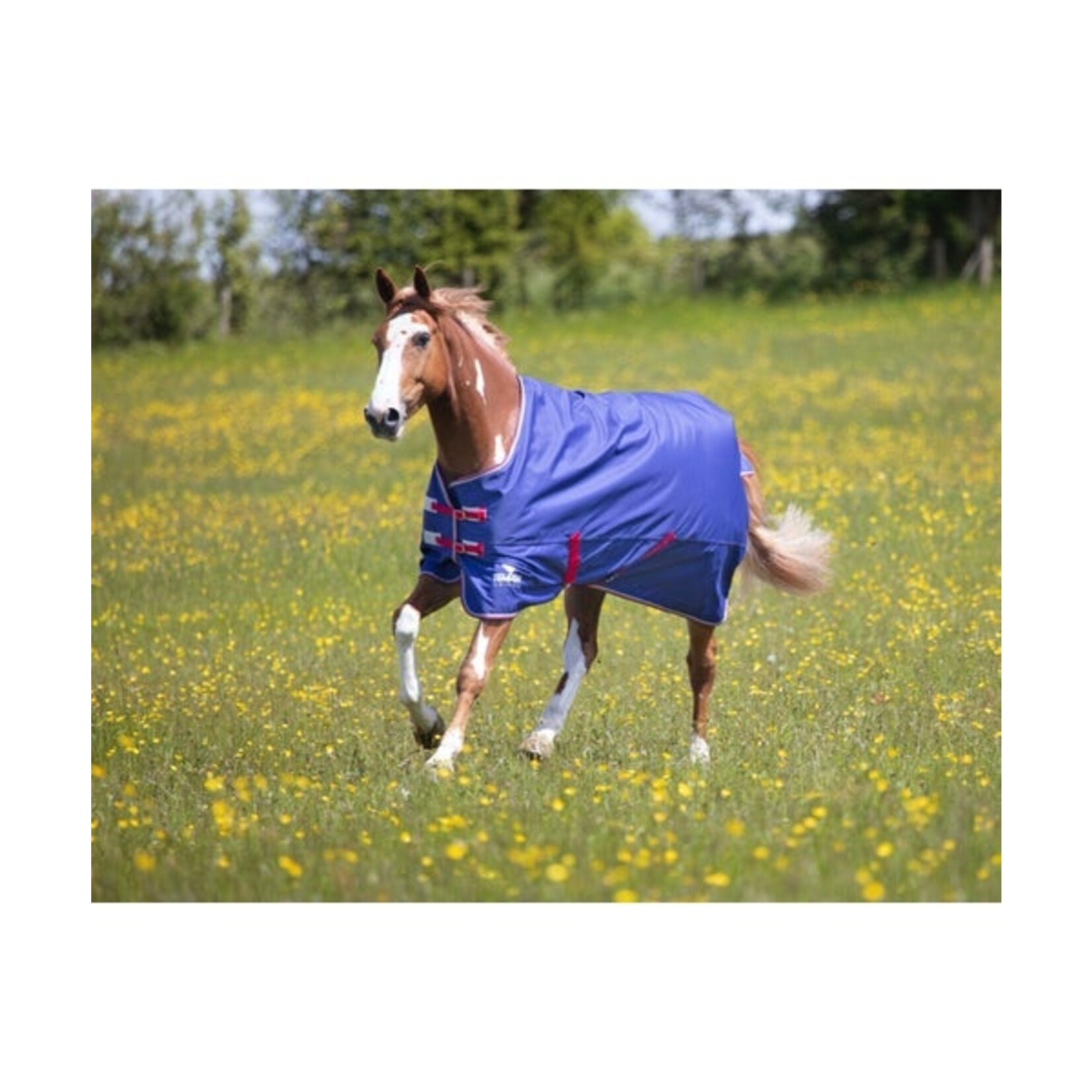 Shires Equestrian Tempest Original Air Motion Turnout Rug
