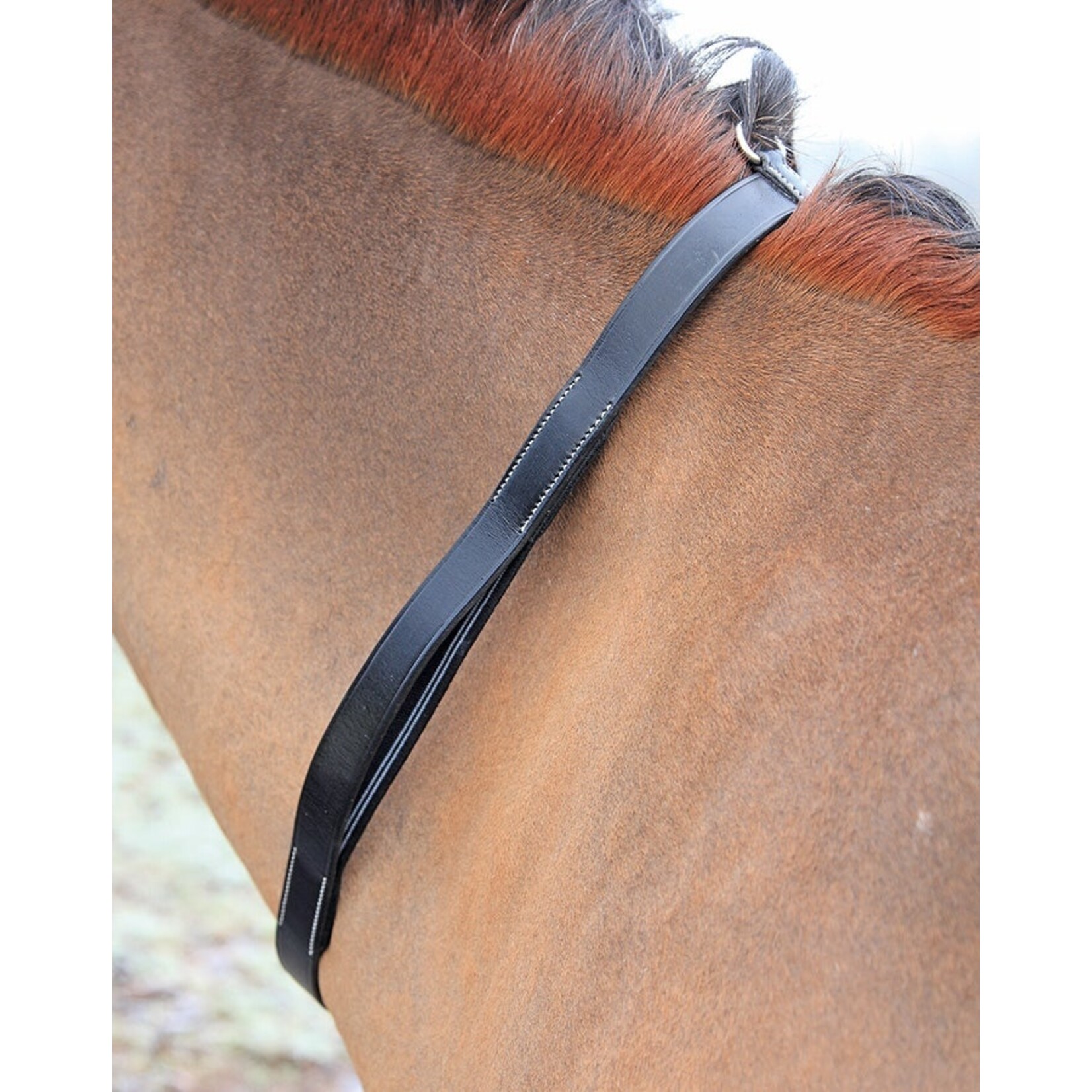 Shires Equestrian Tapestry Neck Strap
