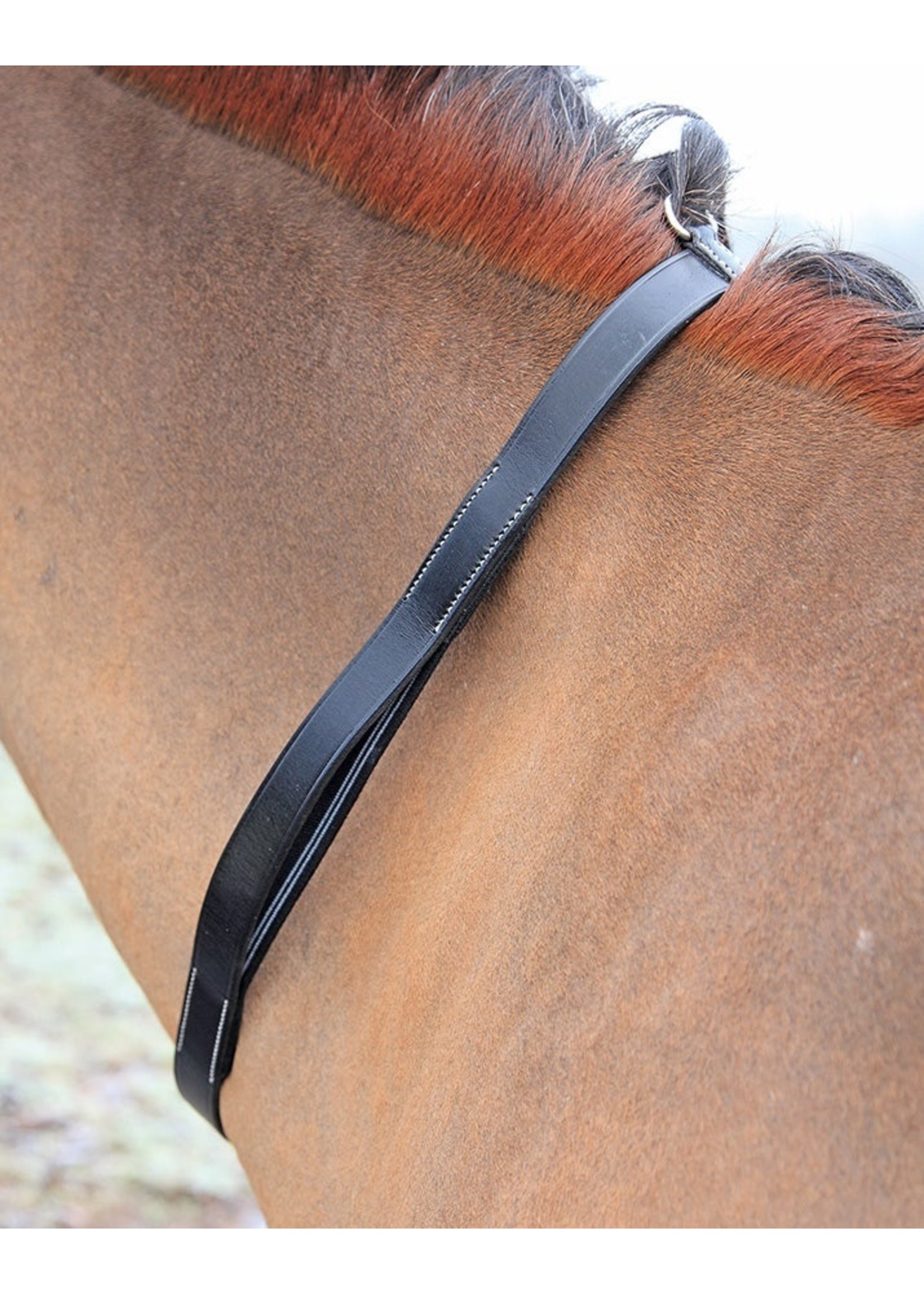Shires Tapestry Neck Strap