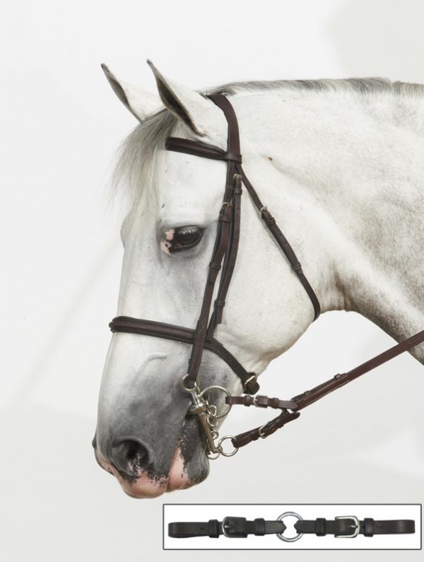 What is a Horse Bit? 16 Types of Horse Bits & Their Uses