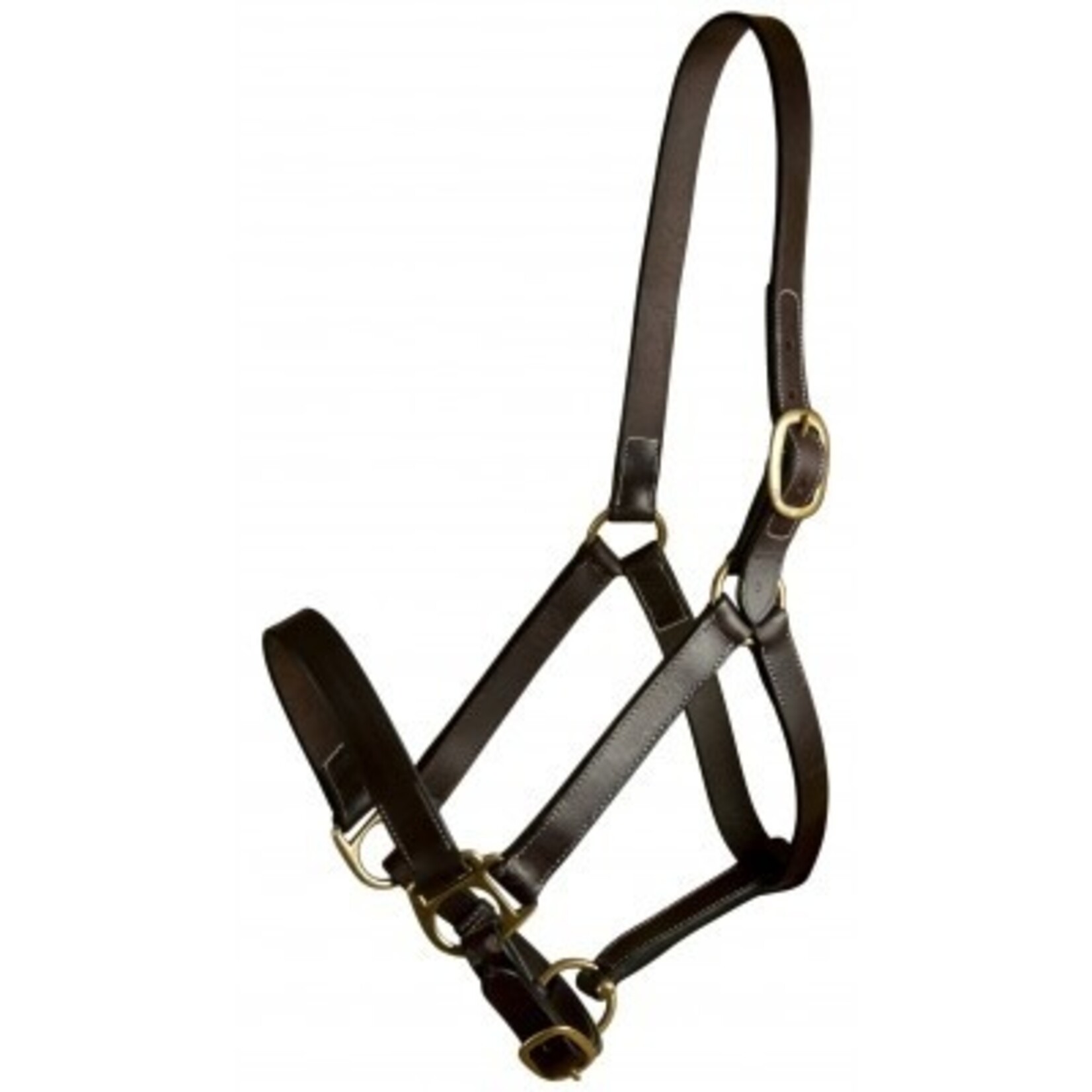 Gatsby Leather Halter