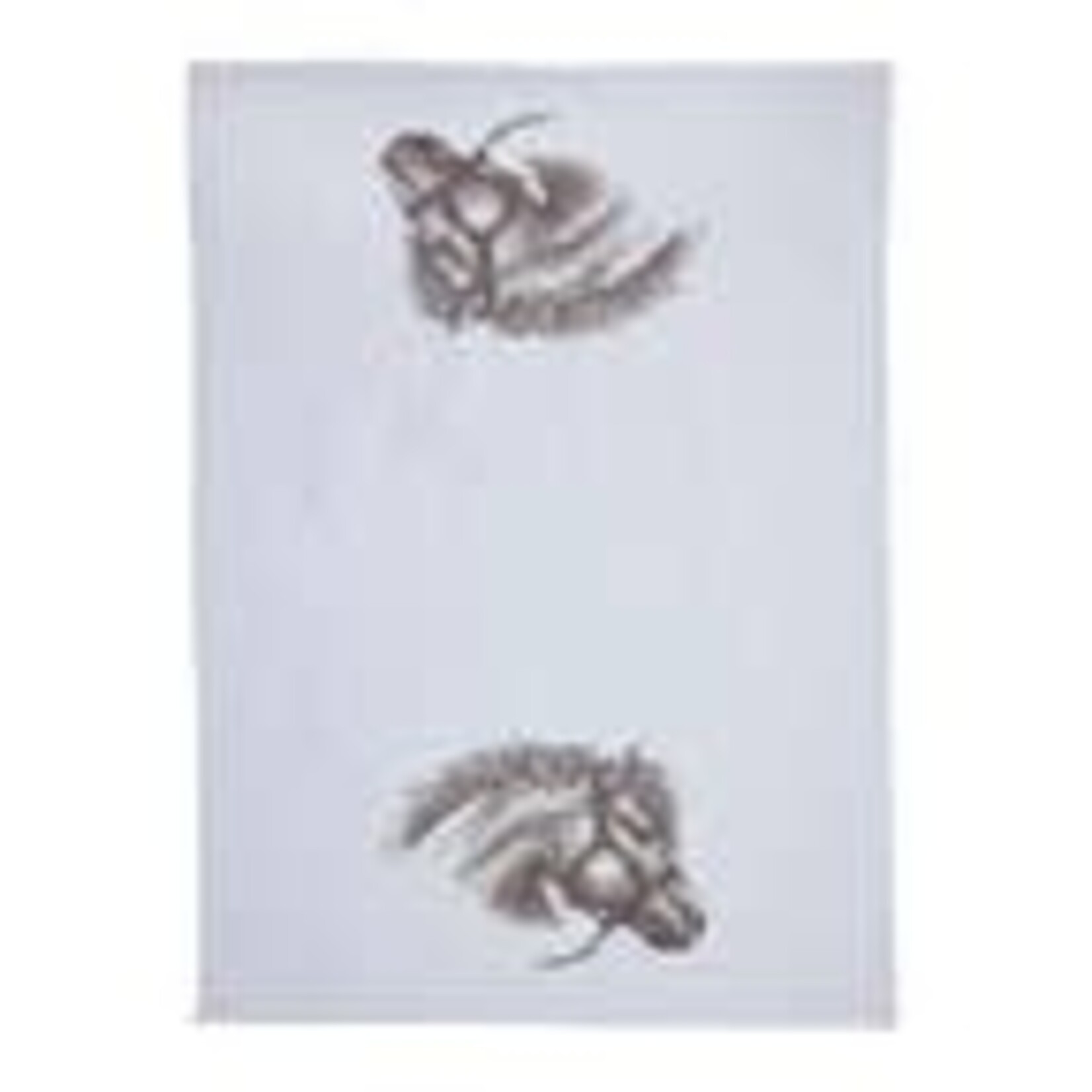 AWST Int'l Flour Sack Kitchen Towel