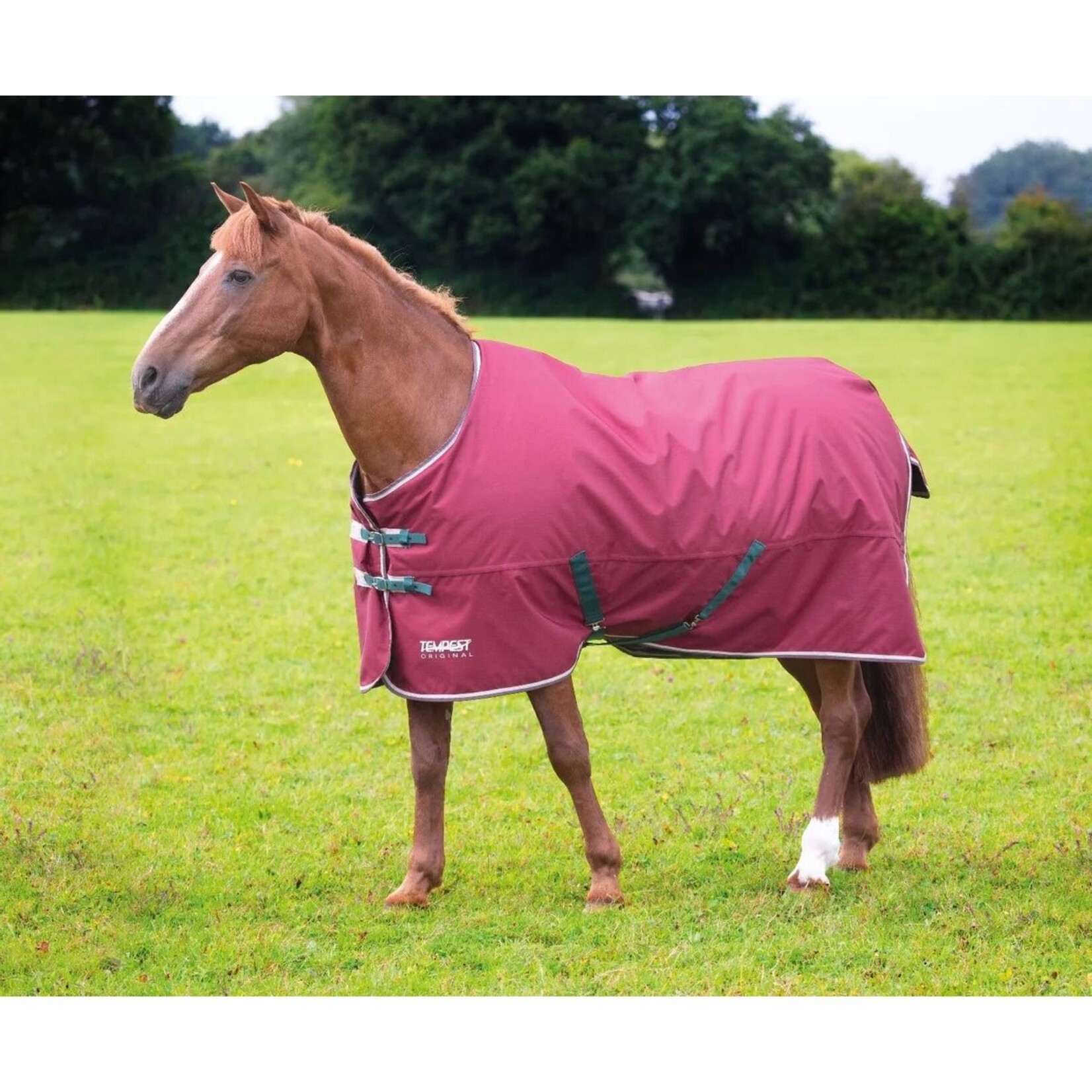 Shires Equestrian Tempest Original 200 Turnout