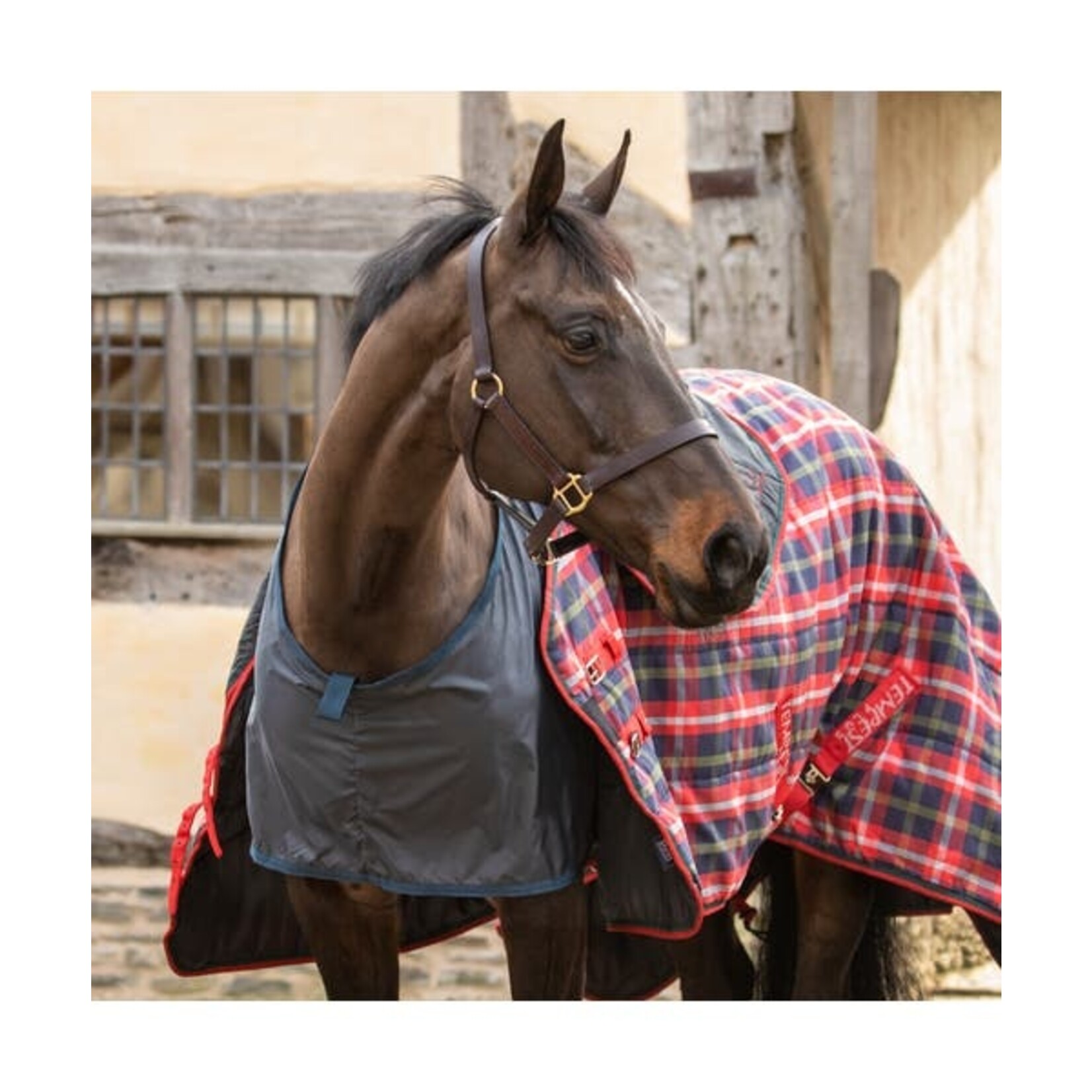 Shires Equestrian Anti-Rub  Vest