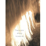 Horse Hollow Press Horse Hollow Press Sympathy Simply