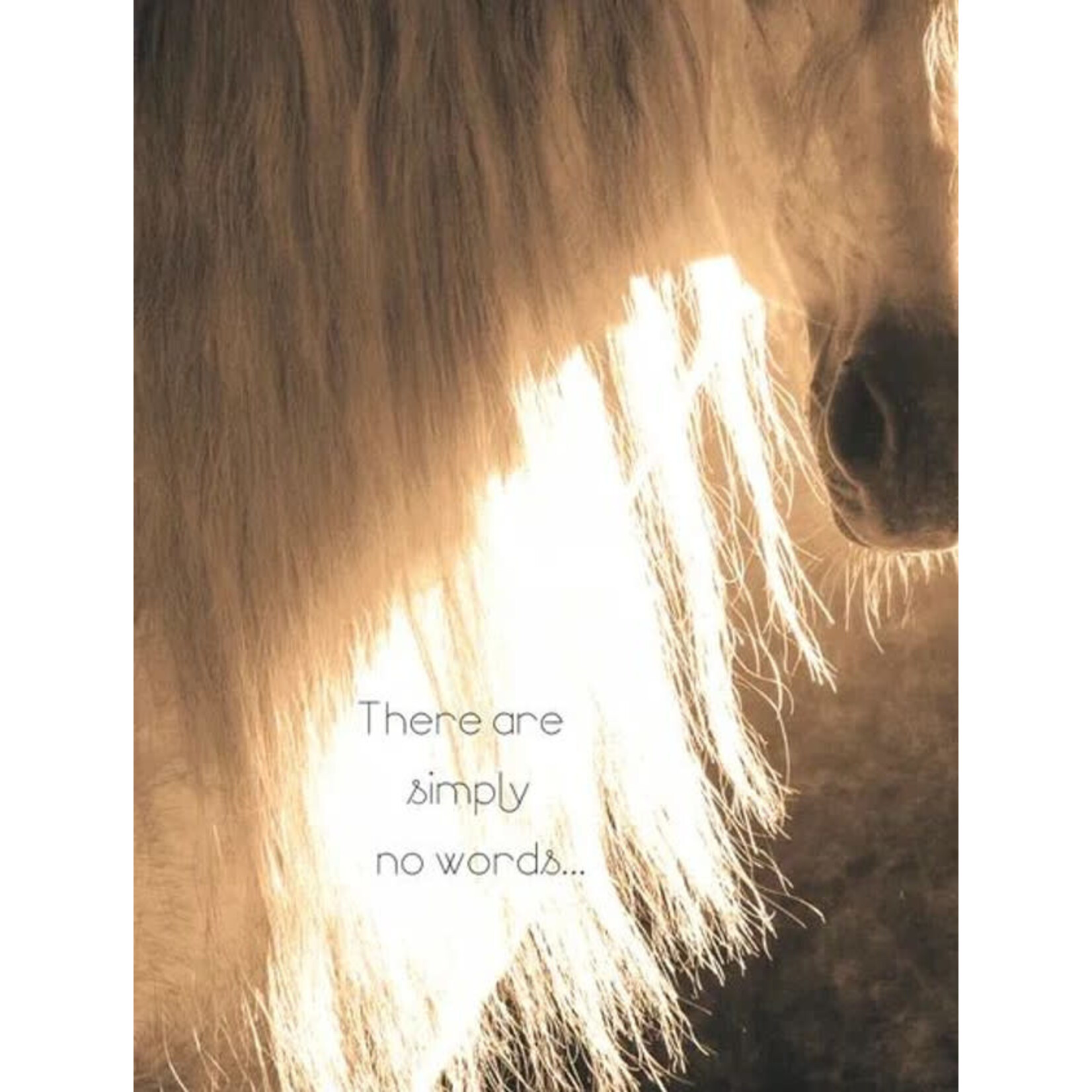 Horse Hollow Press Horse Hollow Press Sympathy Simply